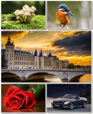 Best HD Wallpapers Pack 822