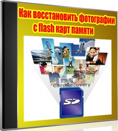     flash   (2012) DVDRip