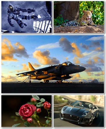Best HD Wallpapers Pack 831