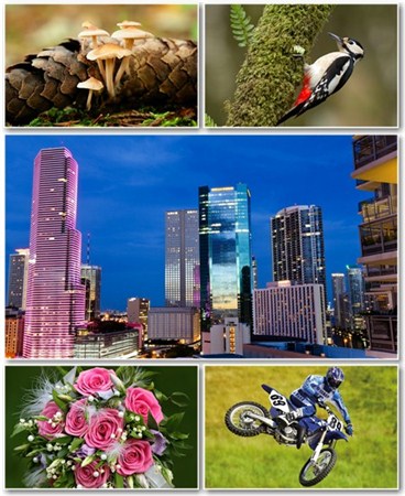 Best HD Wallpapers Pack 835