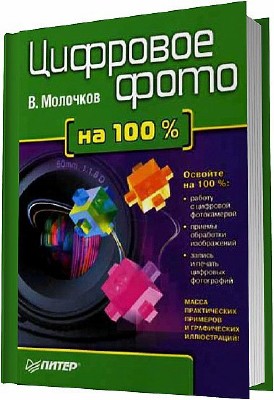    100% (2006) PDF
