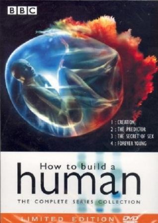 BBC.    / BBC. How to build a human (2004) TVRip